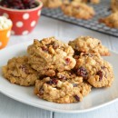cranberry-oatmeal-chip-sqlg