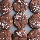 Chocolate-Mint-Shortbread-Cookies-5