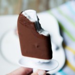 Chocolate Covered Coconut Popsicles