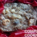 rsz_1rsz_compostcookies