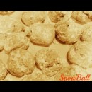 snowball-melts