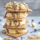 Chocolate-Chip-Cookies-Pretzel-Graham-Cracker-FF2