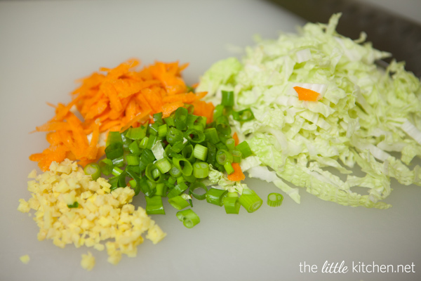 How to Make Chinese Potstickers from The Little Kitchen