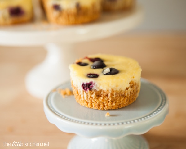 Lemon Blueberry Mini Cheesecakes