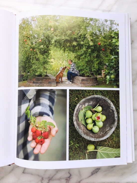 Bountiful Cookbook by Todd Porter and Diane Cu