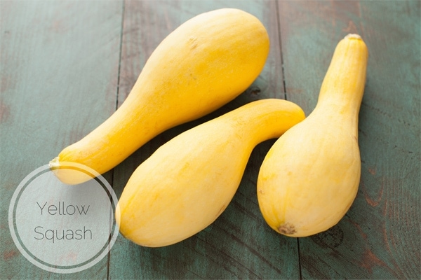 Yellow Squash (how to freeze them & cook them) from thelittlekitchen.net