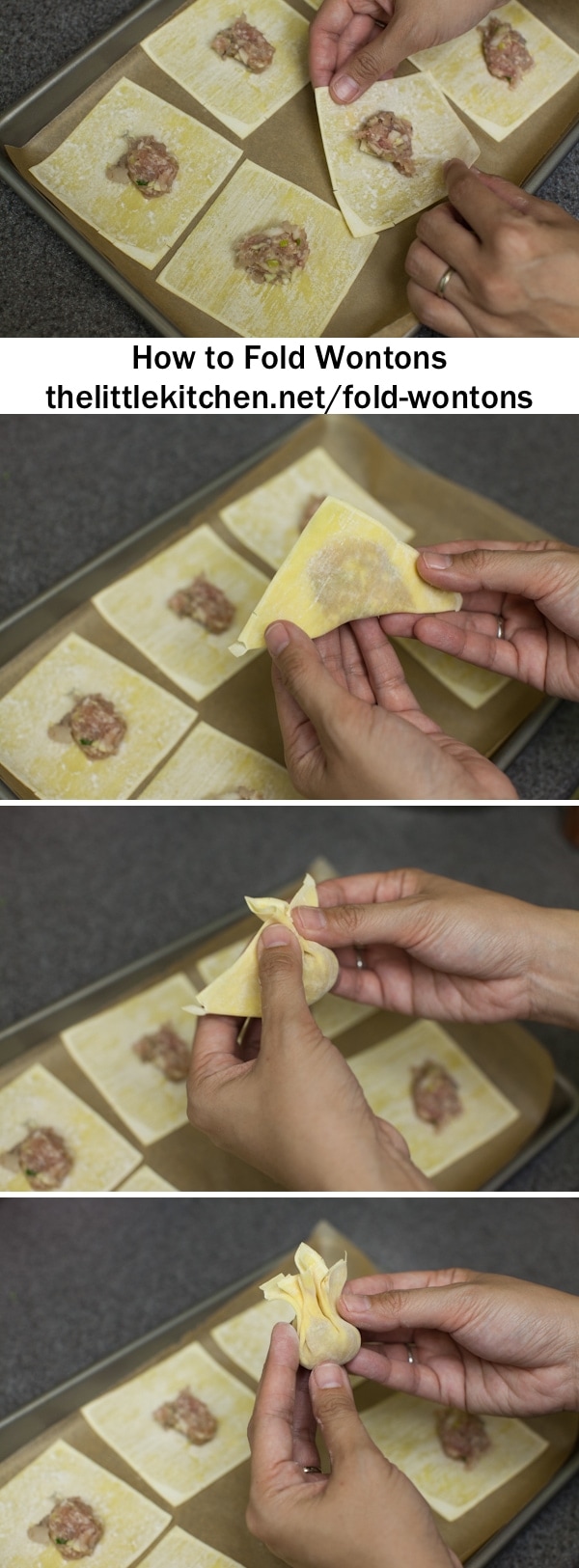 How to Fold Wontons thelittlekitchen.net