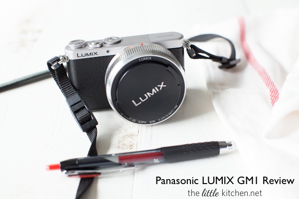 First2savvv XJPT-GM1-09 brun PU cuir étui housse appareil photo numérique pour Panasonic LUMIX DMC-GM1 avec Lens 12-32 mm 