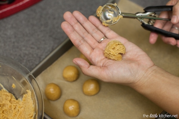 White Chocolate Cookie Butter Truffles from thelittlekitchen.net