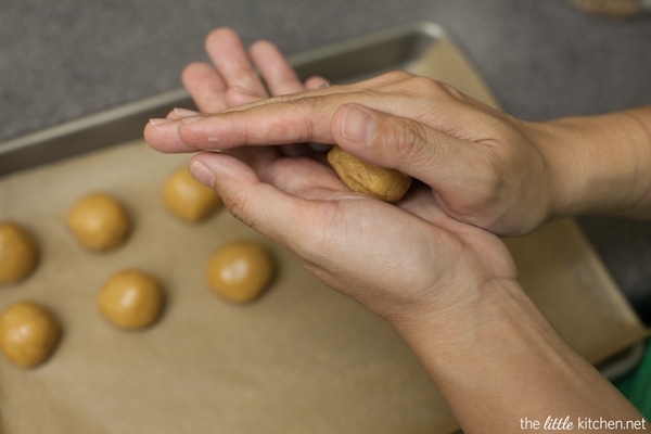 White Chocolate Cookie Butter Truffles from thelittlekitchen.net