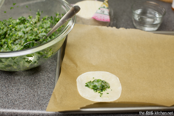 Shrimp & Chive Dumplings from thelittlekitchen.net