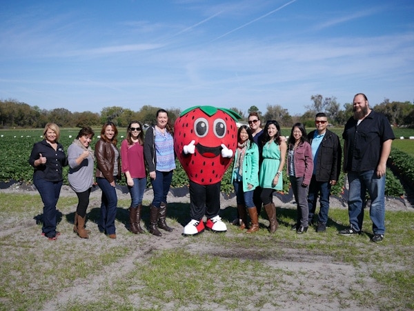 Strawberry Farm Tour