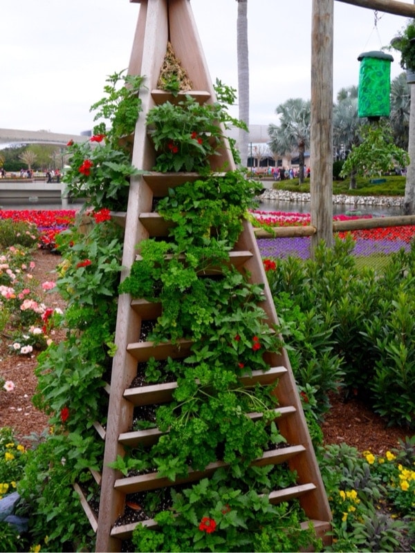 Epcot Flower & Garden Festival Walt Disney World // The Little Kitchen