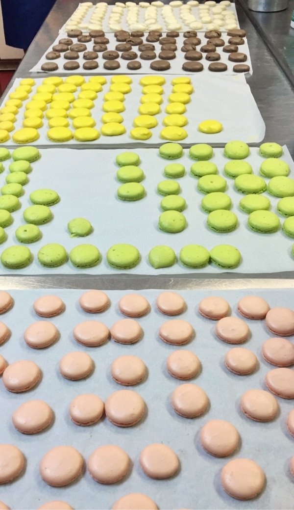 Macaron Class