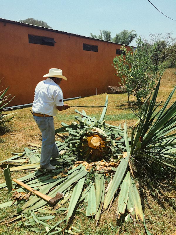 Five Things I Love About Puerto Vallarta, Mexico: The People thelittlekitchen.net