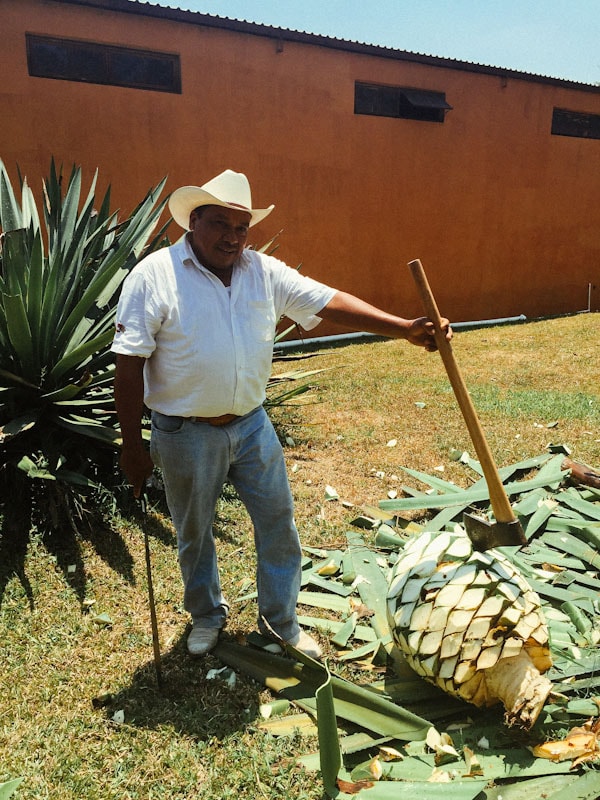 Five Things I Love About Puerto Vallarta, Mexico: The People thelittlekitchen.net