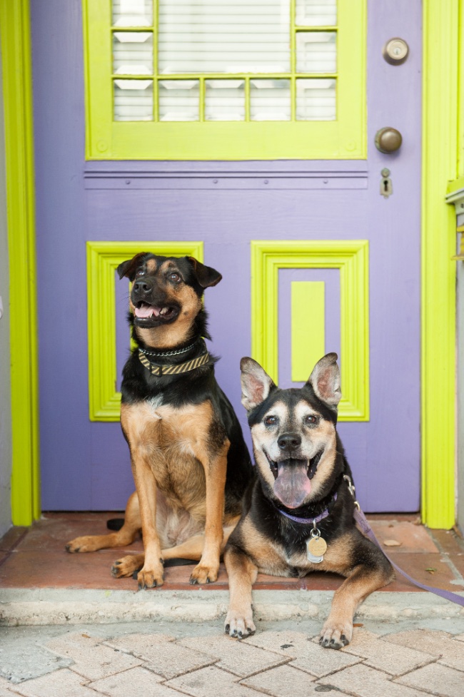 Charley and Angel photo by Mikkel Paige