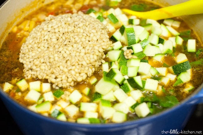 Panera Vegetable Soup from thelittlekitchen.net