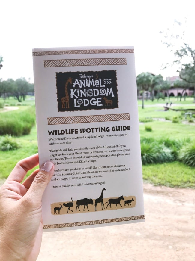 Walt Disney World trip Animal Kingdom Lodge animal guide