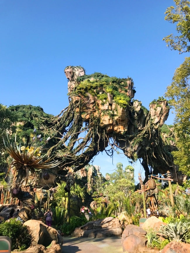 Walt Disney World trip Animal Kingdom Pandora - Land of Avatar floating mountain