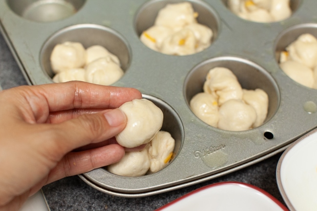 Cheddar Cheese Cloverleaf Rolls from thelittlekitchen.net