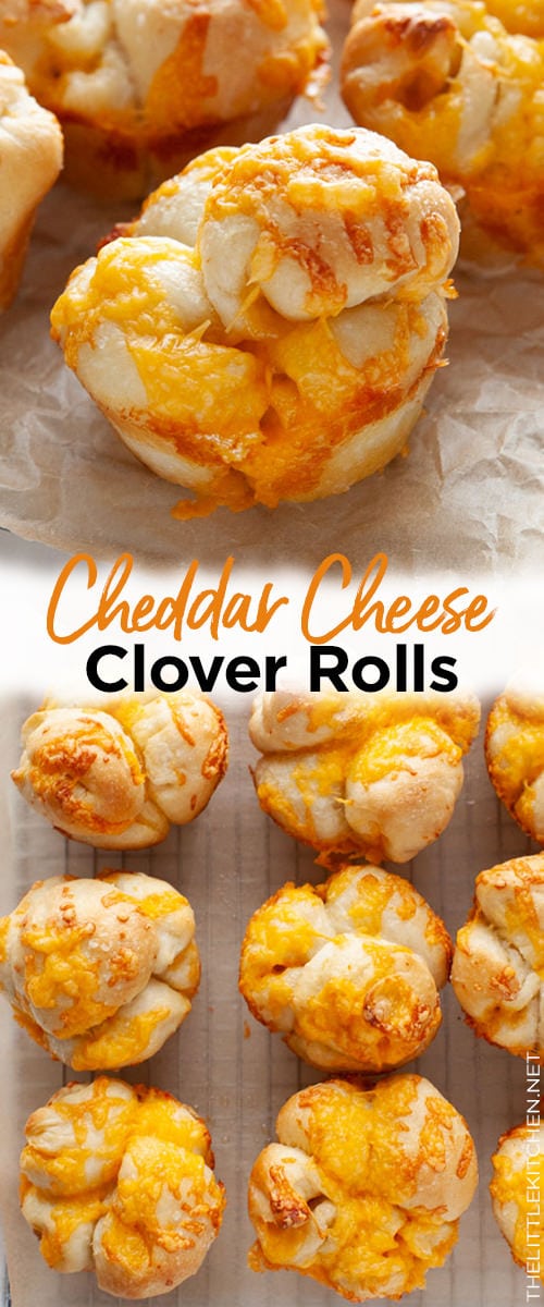 Cheddar Cheese Cloverleaf Rolls from thelittlekitchen.net