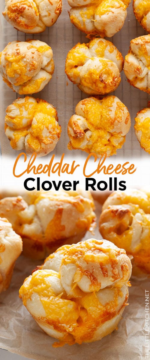 Cheddar Cheese Cloverleaf Rolls from thelittlekitchen.net
