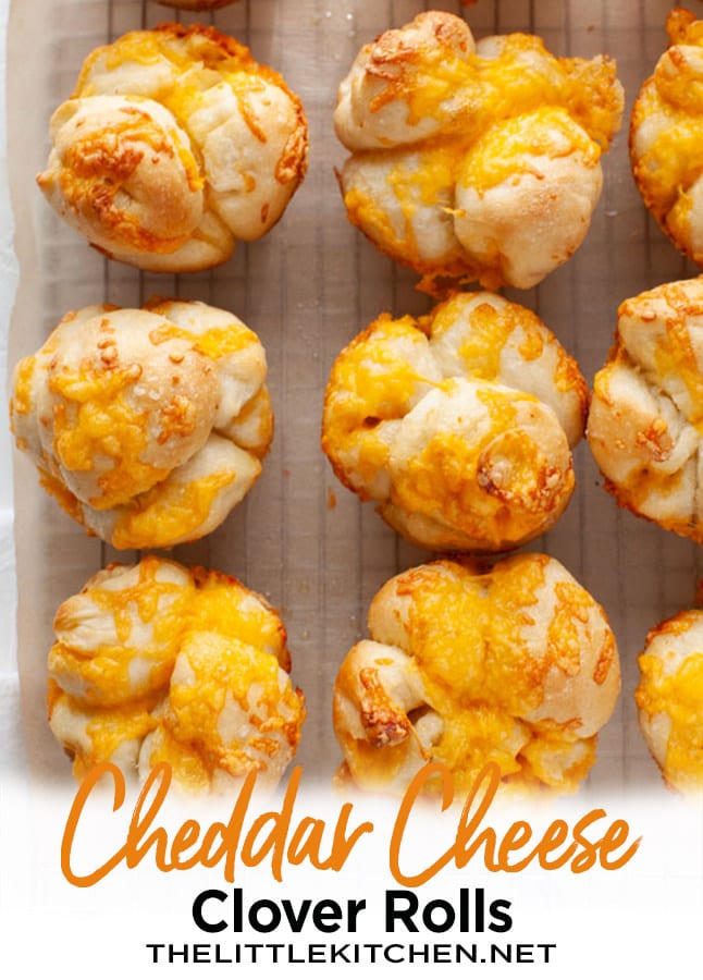 Cheddar Cheese Cloverleaf Rolls from thelittlekitchen.net