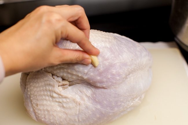 Slow Cooker Turkey Breast from thelittlekitchen.net