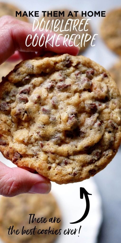 Large cookie in focus with fingers holding the cookie, blurred out cookies in the background 
