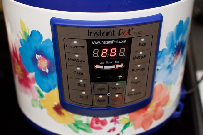 An Instant Pot with the timer set to 20 minutes. 
