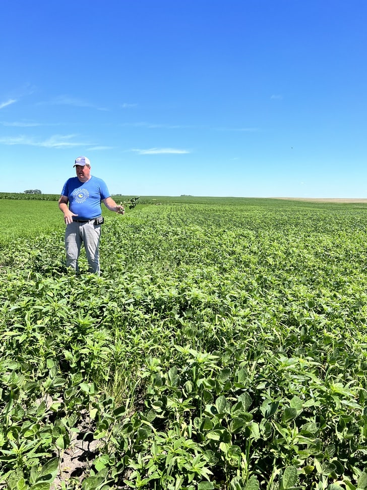 Dave Struthers in a field of soybean plants with a beautiful blue sky background